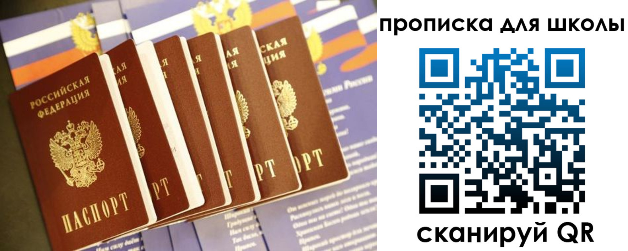 прописка законно в Новороссийске