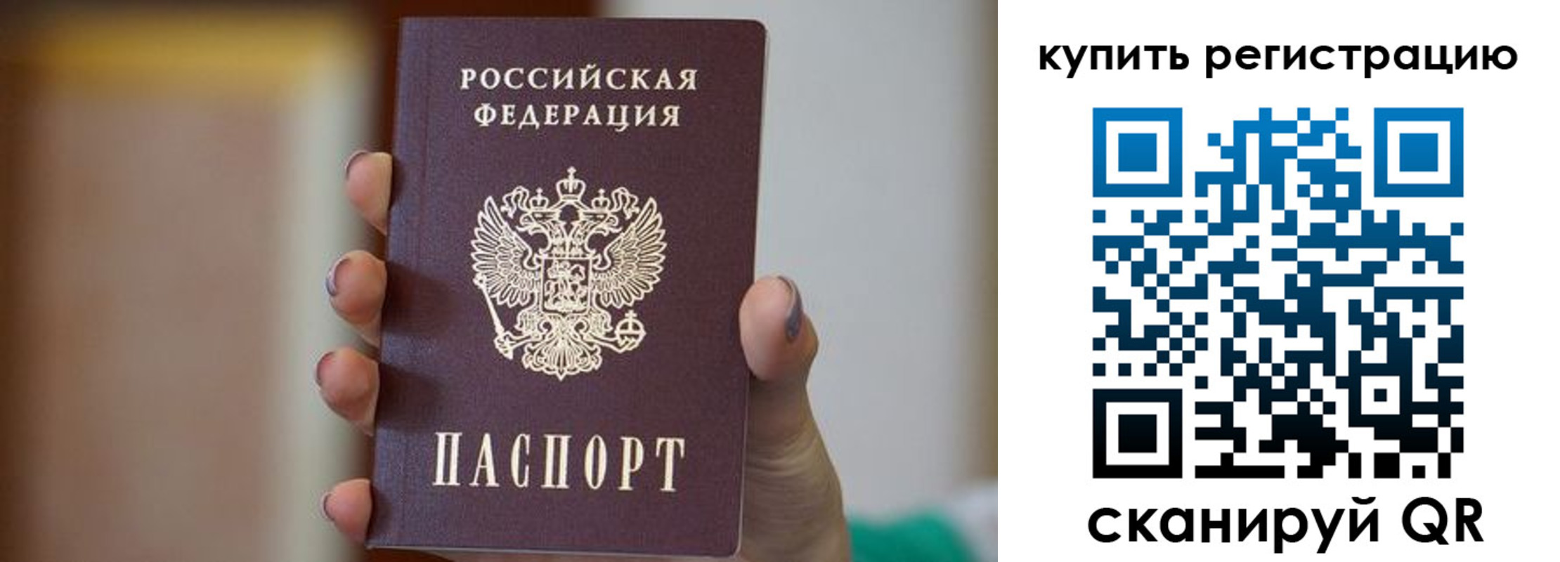прописка гарантия в Новороссийске